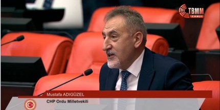 Fındık Üreticisi CİMER’i Kilitledi, Devlet 'Kopyala-Yapıştır' Cevap Veriyor